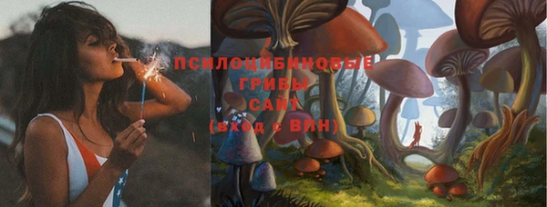 стафф Алексин